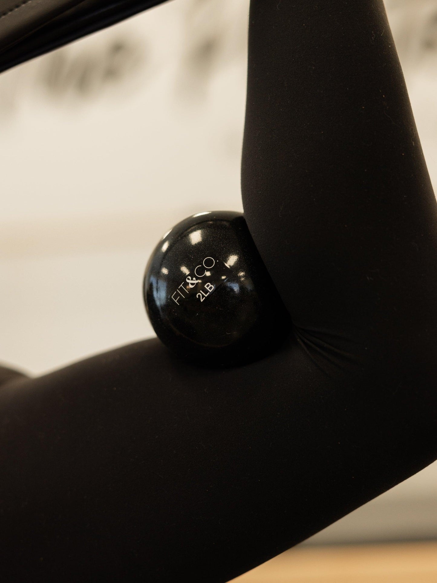 Pilates Toning Balls (PAIR) 2 lb. Each (Restocking Soon) - Fit & CO